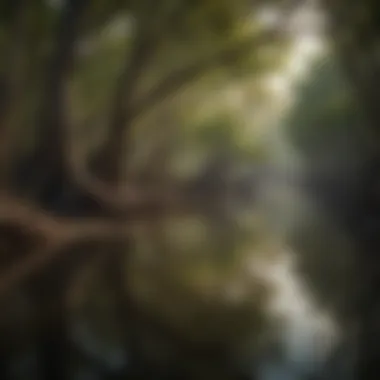 Lush mangrove forest reflecting on calm waters