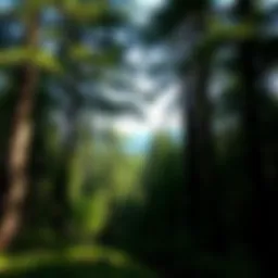 Measuring Wind Speed: Techniques and Applications in Forestry Introduction