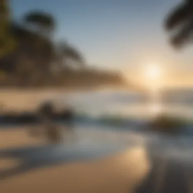 A panoramic view of Monterey Beach showcasing its pristine shoreline and natural landscape