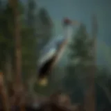 Mountain States Crane: An Exploration of Ecology, Management, and Conservation Introduction