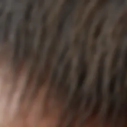 Detailed diagram of hair follicle structure and function