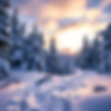 Winter Trails for Adventure Snow-covered trails for winter activities