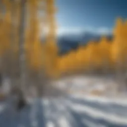 A breathtaking view of the Aspen ski slopes under a clear blue sky