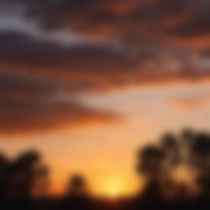 A flock of migrating birds silhouetted against a sunset sky