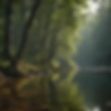 Angler casting a line into tranquil waters surrounded by trees