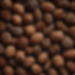 Close-up view of various pine cones on a wooden surface