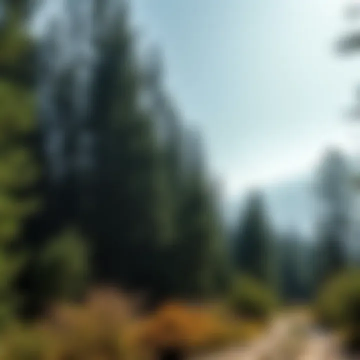 Pine Knot Campground: A Comprehensive Exploration of Its Ecological and Recreational Significance Summary