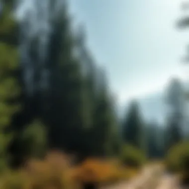Pine Knot Campground: A Comprehensive Exploration of Its Ecological and Recreational Significance Summary Pine Knot Campground: A Comprehensive Exploration of Its Ecological and Recreational Significance Summary