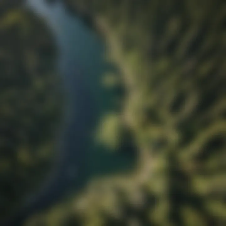 An aerial perspective of the Portage Bay area highlighting its ecological diversity
