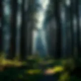Precision of GPS and Its Implications for Forestry Practices Introduction