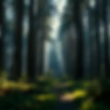 Precision of GPS and Its Implications for Forestry Practices Introduction Precision of GPS and Its Implications for Forestry Practices Introduction