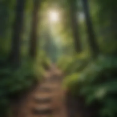 Lush greenery along the hiking trail