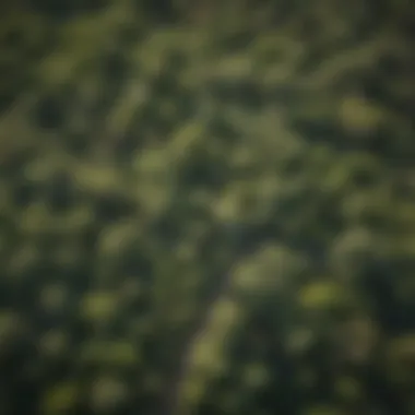 Aerial view of the lush green areas in Rincon East Tucson