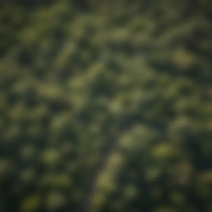 Aerial view of the lush green areas in Rincon East Tucson