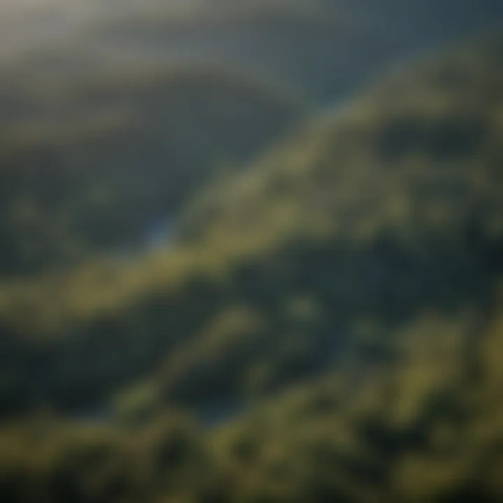 Aerial view of the Rogue Valley showcasing its lush woodlands