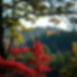 Russell's Trees and Shrubs: An In-Depth Exploration Introduction