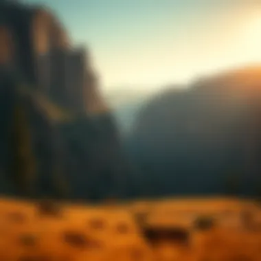 Canyon Landscape with Grazing Deer A scenic view of a canyon with deer grazing in the distance