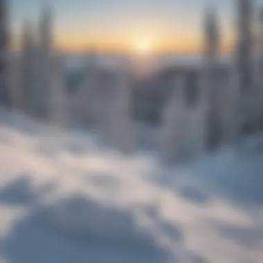 Panoramic view of Schweitzer Mountain covered in fresh snow