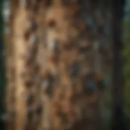 A close-up view of a tree trunk infested with various insects.