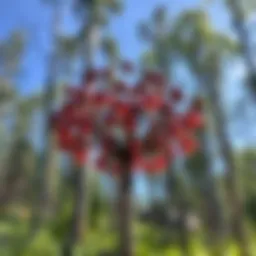 The Flora of Aspen: A Study of Local Biodiversity Introduction