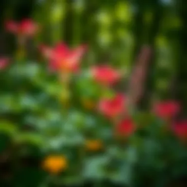 Biodiversity in Woodland Environments Close-up of vibrant forest flora promoting biodiversity