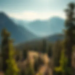 A majestic view of the Jackson Hole landscape reflecting the natural beauty explored by Lewis and Clark.