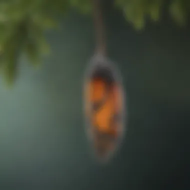 Pupal stage of a monarch butterfly hanging from a branch