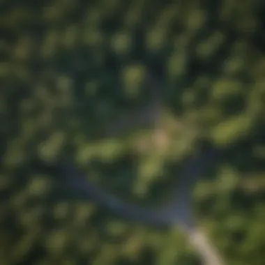 Aerial view of a landscape transformed by tree planting initiatives