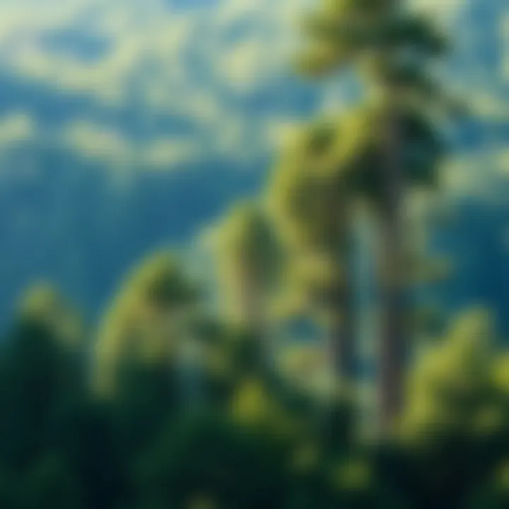 The Role of Trees in Carbon Capture: A Comprehensive Examination Summary