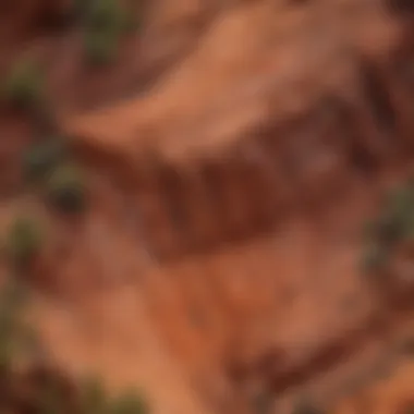 Close-up of red rock layers showcasing geological history