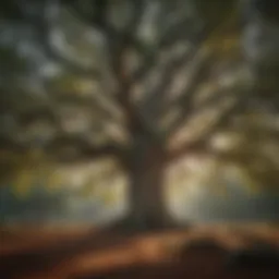 A majestic Seven Oak tree in a serene forest setting