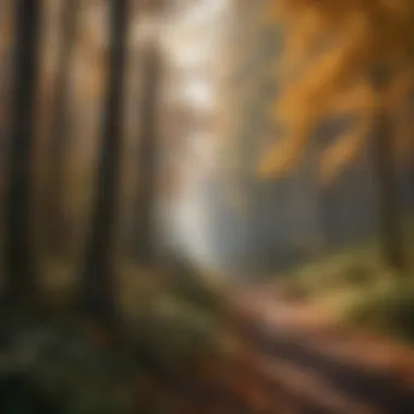 Impact of Air Pollution on Forest Foliage A dense forest affected by air pollution showing fading leaves.