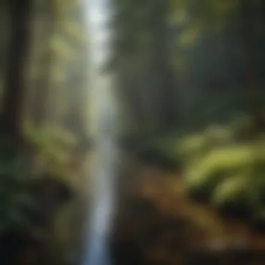 Examining Water Pollution in Forest Ecosystems A river flowing through a forest, illustrating water pollution's effect.