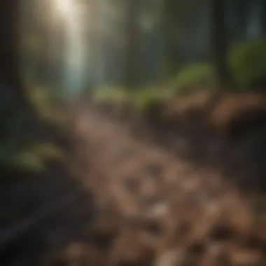 A close-up view of soil in a forest, highlighting contamination.