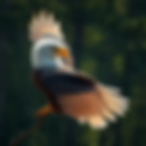 The Transformation of Bald Eagles: Understanding the Change to White Feathers Introduction