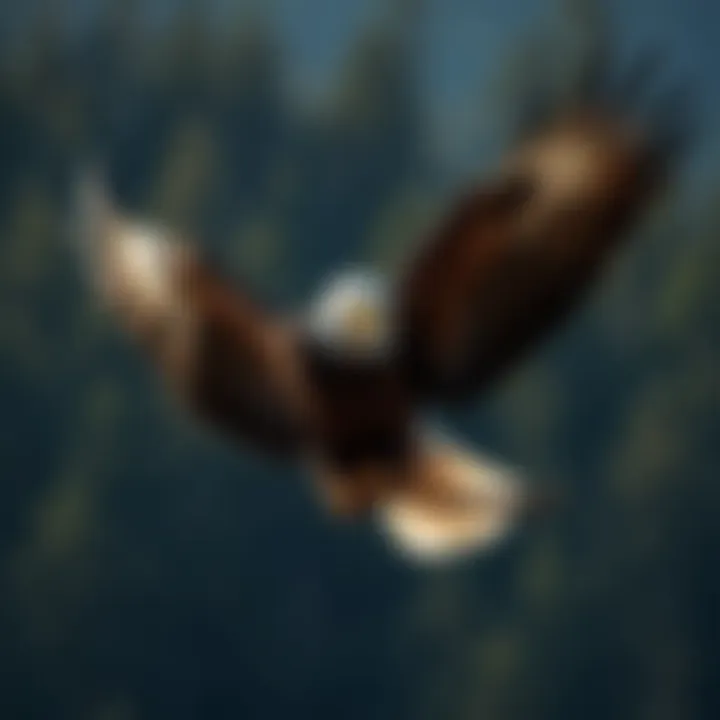 Notable The Transformation of Bald Eagles: Understanding the Change to White Feathers