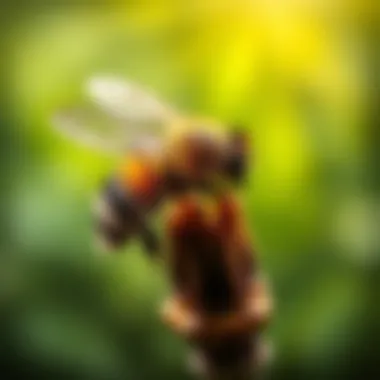Notable The Vital Role of Pollination in Ecosystems Notable The Vital Role of Pollination in Ecosystems
