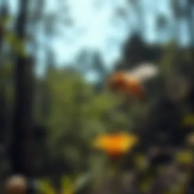 The Vital Role of Pollination in Ecosystems Summary The Vital Role of Pollination in Ecosystems Summary