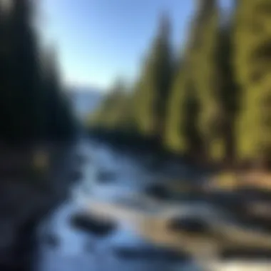 Notable The Yuba River: An Exploration of Its Ecological and Cultural Significance Notable The Yuba River: An Exploration of Its Ecological and Cultural Significance