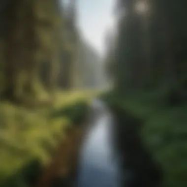 Scenic Waterways of Tillamook Scenic landscape of Tillamook with waterways and lush greenery