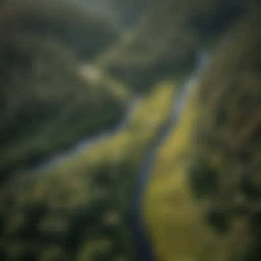 Aerial view of the lush Tucker Meadow Creek Saddle landscape showcasing its diverse flora.