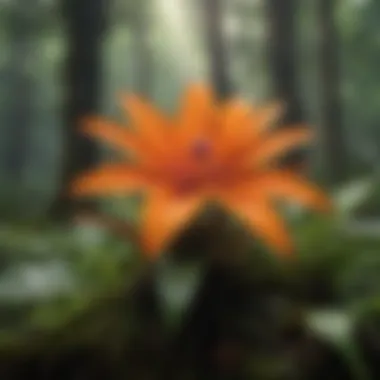Flora in Rainforests Diverse flora thriving in rainforest ecosystem