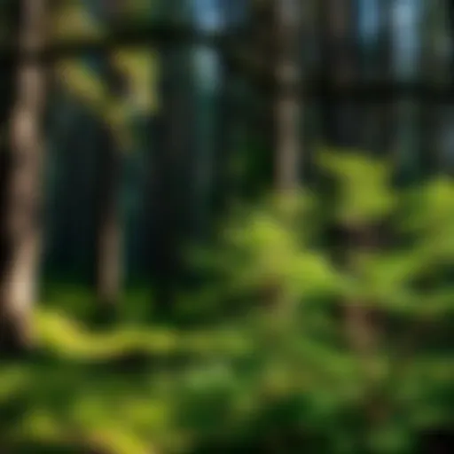 Understanding Conservation Statuses: An In-Depth Exploration Introduction