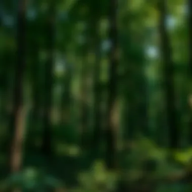 Notable Understanding Conservation Statuses: An In-Depth Exploration