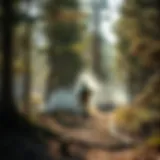 Understanding Dust Suppression Chemicals in Forestry Introduction