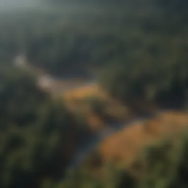 Aerial view of a forest landscape under climate change stress.