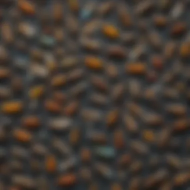 Diversity of Insects in Nature A vibrant collage showcasing various insect species in their natural habitats.