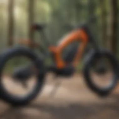 A detailed view of the electric bike's technological components