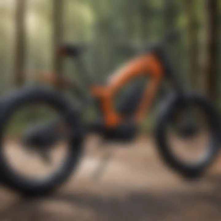 A detailed view of the electric bike's technological components