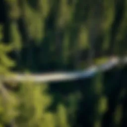 Understanding Prefabricated Trail Bridges: Construction, Benefits, and Applications Introduction